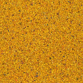 Biologische Bijenpollen