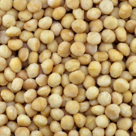 Biologische Macadamia Noten (geroosterd)