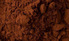 Biologische Cacao Poeder