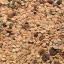 Meergranen Muesli