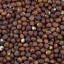 Bruine Hazelnoten (raw)