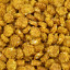 Curry Crackers