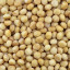 Macadamia's (gebakken)