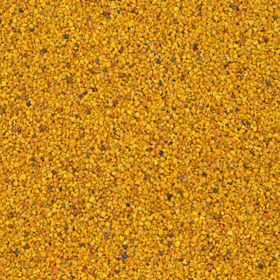 Biologische Bijenpollen