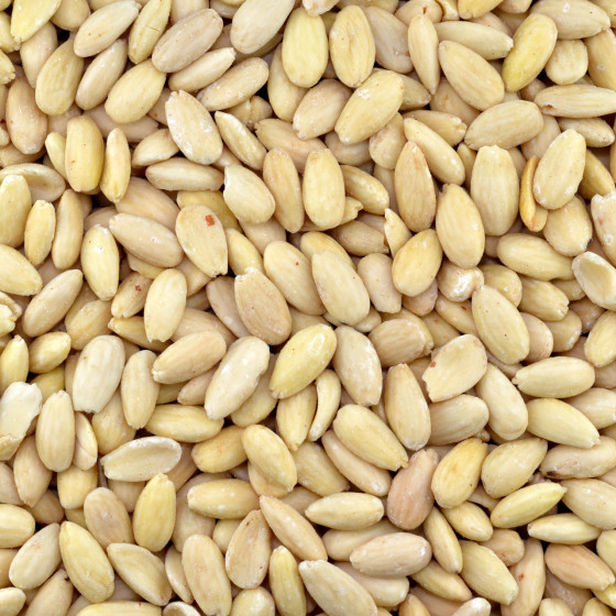 Biologische Blanke Amandelen (raw)