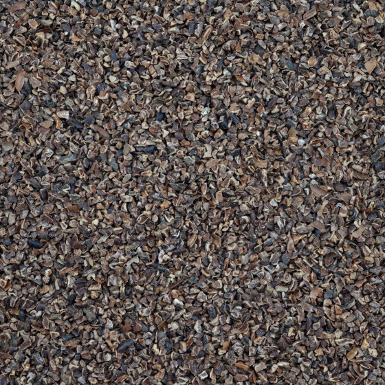 Cacao Nibs
