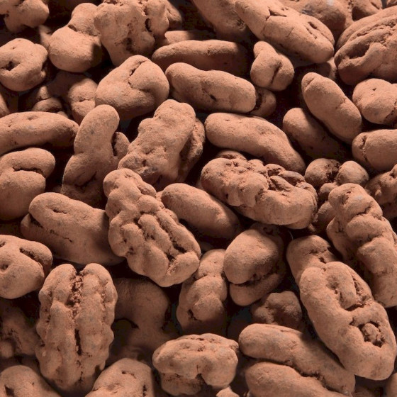 Pecan Truffels