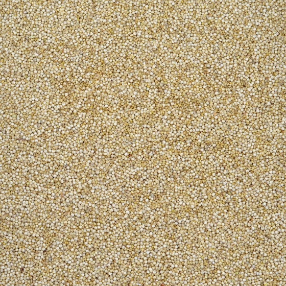Biologische Quinoa