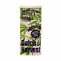 Thee Sleepy Hemp