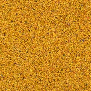 Biologische bijenpollen zijn goed voor je gezondheid