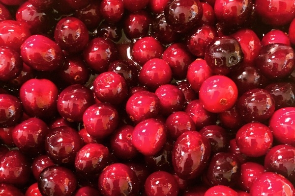 Gedroogde cranberries kopen doe je bij Top Noten